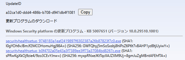 「KB5007651」のダウンロードページ