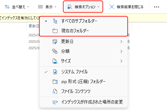 検索オプション